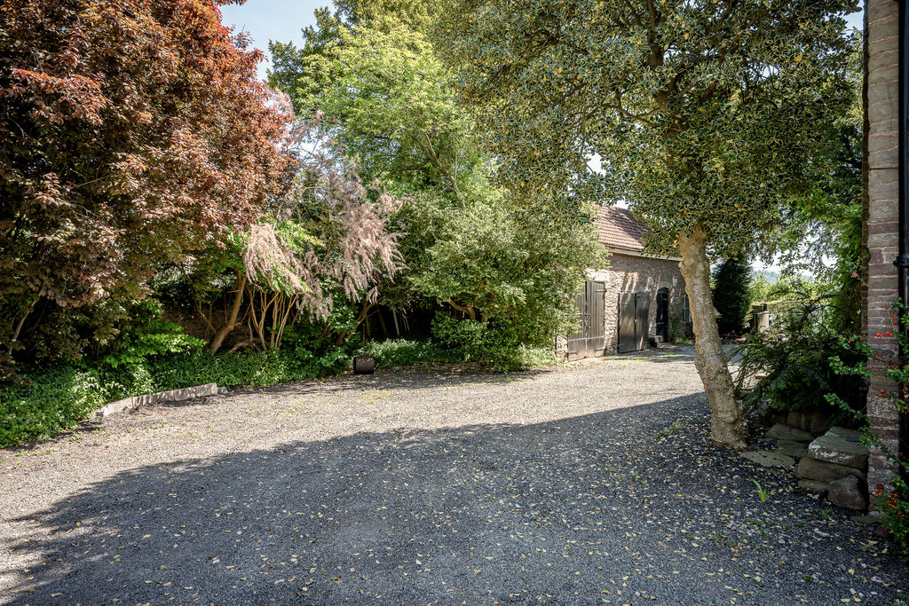 Driveway- click for photo gallery